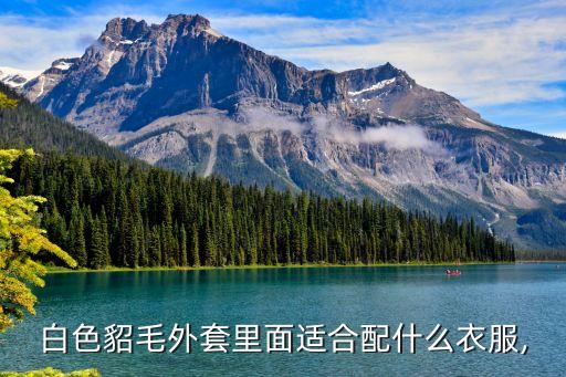 白色貂毛外套里面适合配什么衣服,