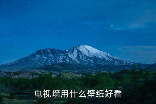 电视墙用什么壁纸好看
