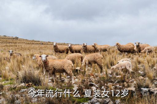 今年流行什么 夏装女12岁