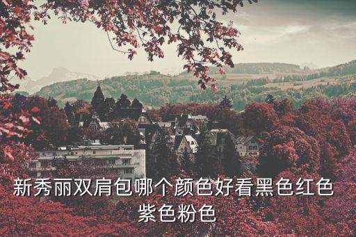 新秀丽双肩包哪个颜色好看黑色红色 紫色粉色