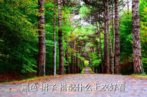 黑色 裙子 搭配什么上衣好看