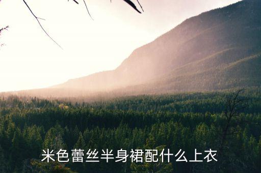米色蕾丝半身裙配什么上衣