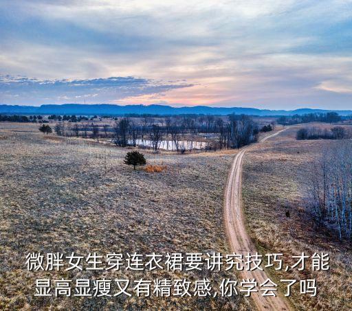 棕色裙子微胖穿搭女,微胖穿棕色好看吗