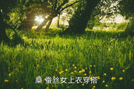 桑 蚕丝女上衣穿搭