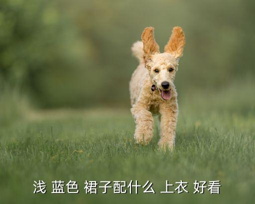 蓝色上衣配什么颜色裙子好看图片,潮流服饰搭配攻略（13）