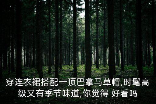 穿连衣裙搭配一顶巴拿马草帽,时髦高级又有季节味道,你觉得 好看吗