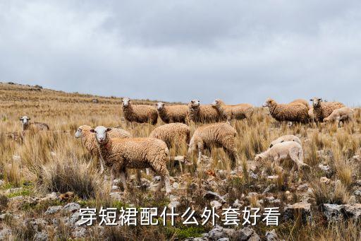 福建质量裙子穿搭