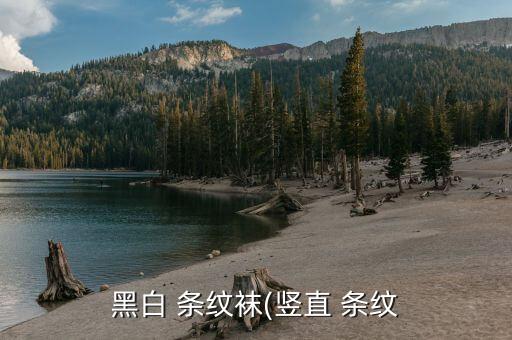 黑白 条纹袜(竖直 条纹