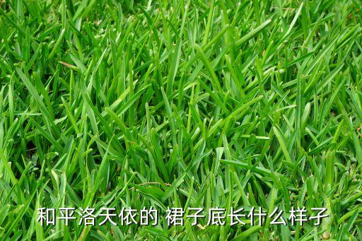 和平洛天依的 裙子底长什么样孑