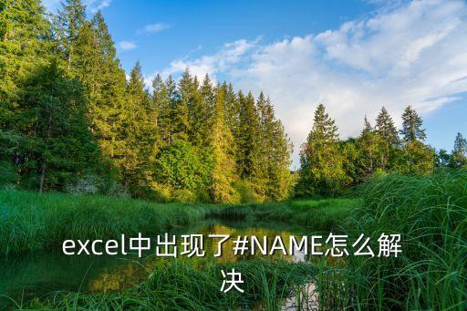 excel中出现了#NAME怎么解决