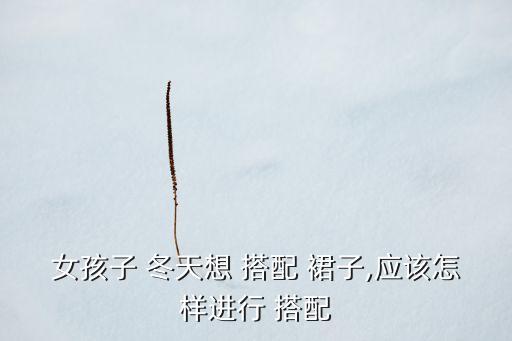 女孩子 冬天想 搭配 裙子,应该怎样进行 搭配