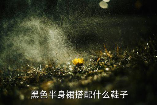  黑色半身裙搭配什么鞋子