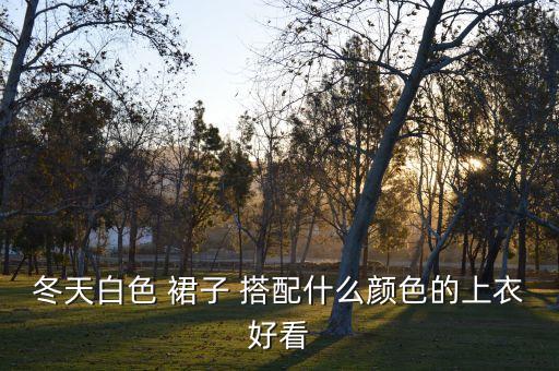 冬天白色 裙子 搭配什么颜色的上衣好看