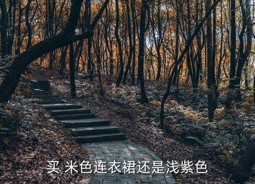 买 米色连衣裙还是浅紫色