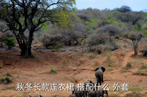 秋冬长款连衣裙 搭配什么 外套