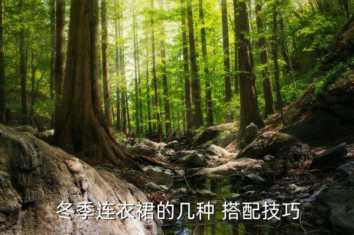  冬季连衣裙的几种 搭配技巧
