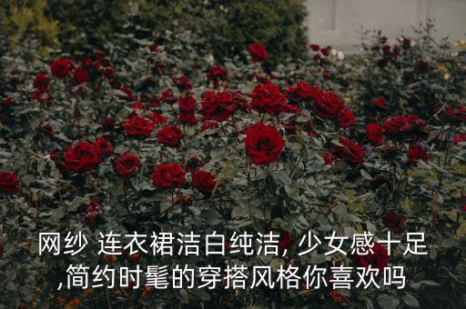 网纱 连衣裙洁白纯洁, 少女感十足,简约时髦的穿搭风格你喜欢吗
