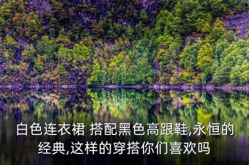 裙子搭配身型图,咖啡色裙子最佳搭配图