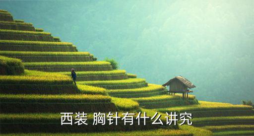 西装 胸针有什么讲究