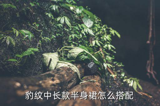 豹纹中长款半身裙怎么搭配