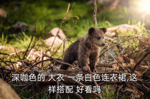 深咖色的 大衣 一条白色连衣裙,这样搭配 好看吗