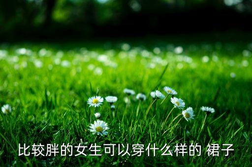 比较胖的女生可以穿什么样的 裙子