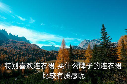 特别喜欢连衣裙,买什么牌子的连衣裙比较有质感呢