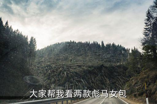 大家帮我看两款彪马女包