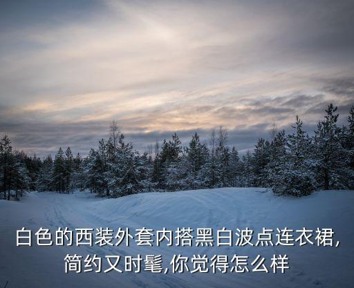 正装西服内搭裙子穿搭,西服裙子算正装吗