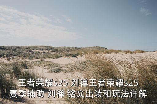 王者荣耀s25 刘禅王者荣耀s25赛季辅助 刘禅 铭文出装和玩法详解