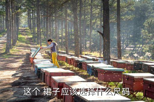 这个 裙子应该选择什么尺码