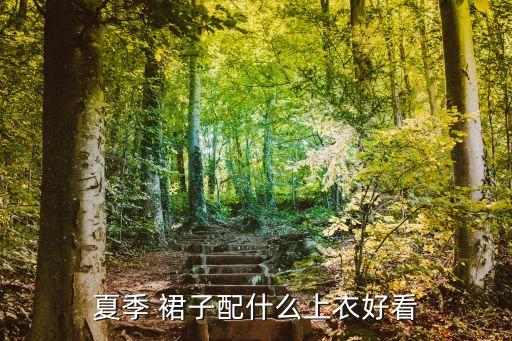 夏季 裙子配什么上衣好看