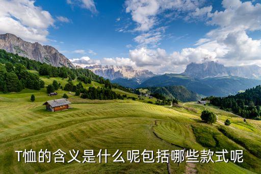 t恤衣服图案大全图片放床上的,女装t恤印花图案大全图片
