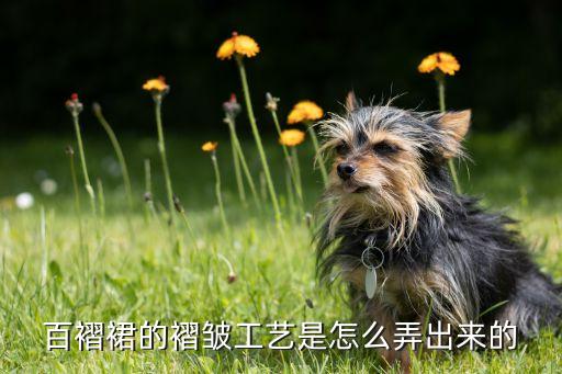 百褶裙的褶皱工艺是怎么弄出来的