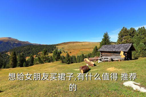 想给女朋友买裙子,有什么值得 推荐的