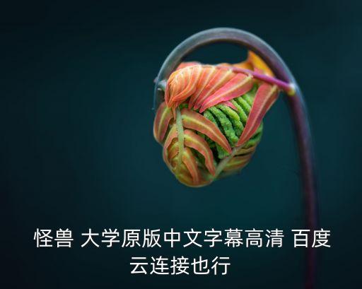  怪兽 大学原版中文字幕高清 百度云连接也行