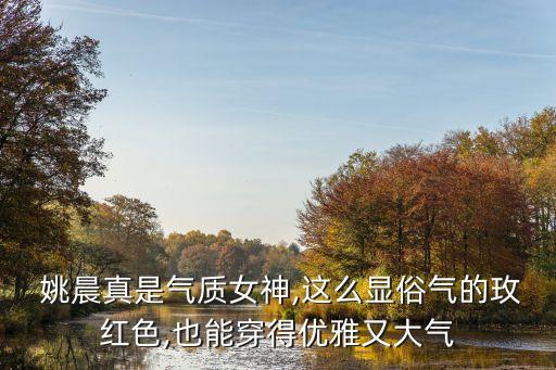 姚晨泳装搭配裙子