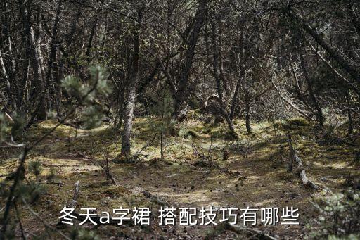 冬天a字裙 搭配技巧有哪些