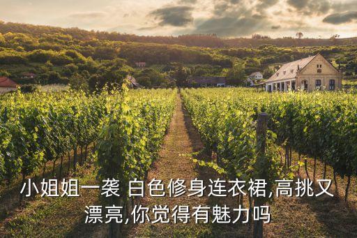小姐姐一袭 白色修身连衣裙,高挑又漂亮,你觉得有魅力吗