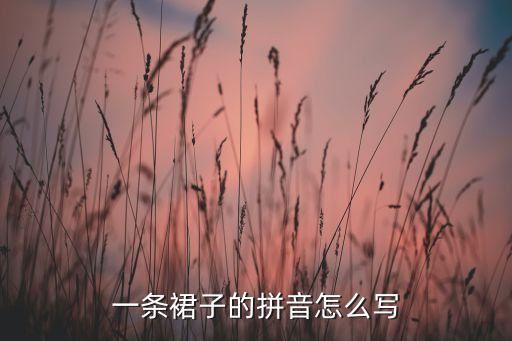 一条裙子的拼音怎么写