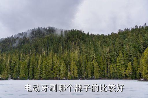 电动牙刷哪个牌子的比较好