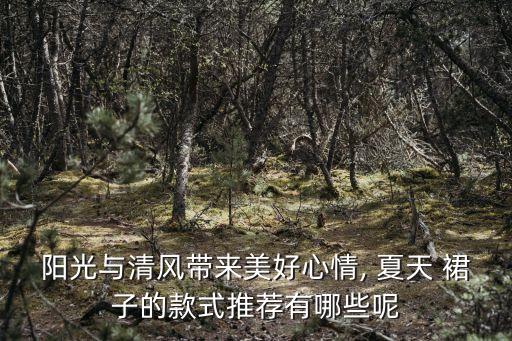 阳光与清风带来美好心情, 夏天 裙子的款式推荐有哪些呢