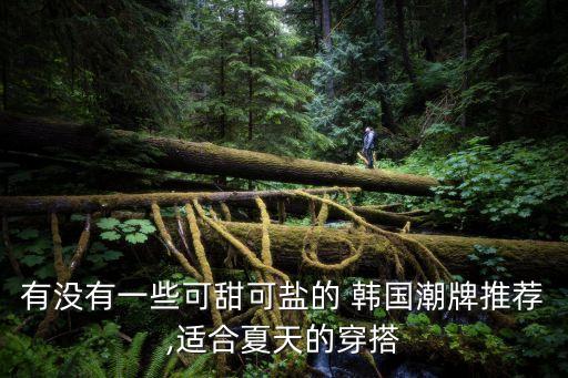 有没有一些可甜可盐的 韩国潮牌推荐,适合夏天的穿搭