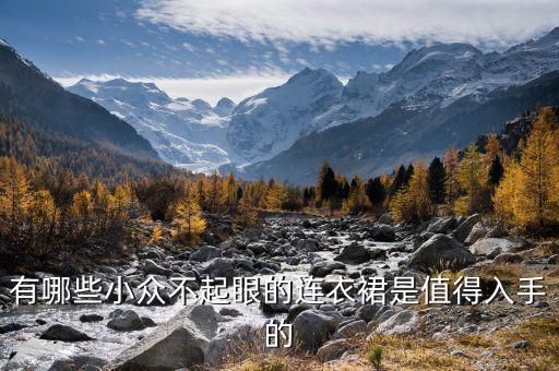 黑色裙子价格,黑色花裙子配什么上衣好看图片