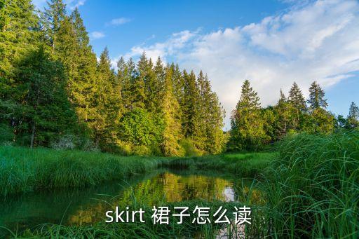 skirt 裙子怎么读