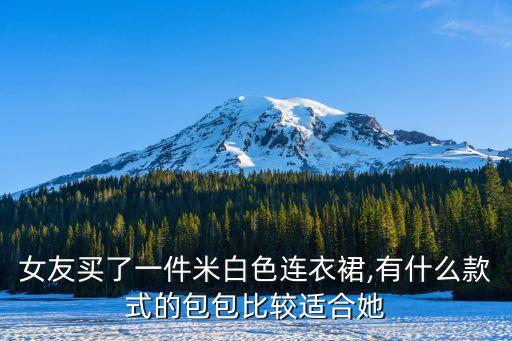 女友买了一件米白色连衣裙,有什么款式的包包比较适合她