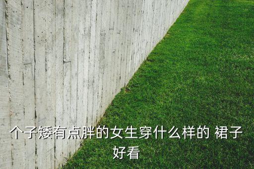 个子矮有点胖的女生穿什么样的 裙子好看