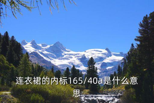 连衣裙的内标165/40a是什么意思