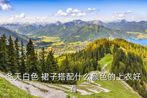 国风穿搭冬季裙子女,国风裙子可以搭小白鞋吗
