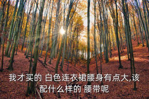 我才买的 白色连衣裙腰身有点大,该配什么样的 腰带呢